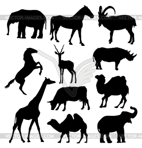 Silhouettes of anilmals - vector image