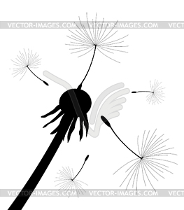 Dandelion seeds blown in wind - vector clip art