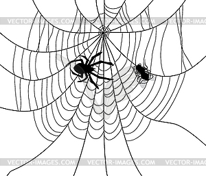 Spider, web and caught fly - vector clip art