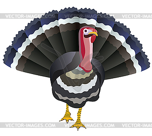 Vector turkey  - vector clipart