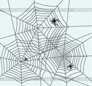Spiders and webs - vector image