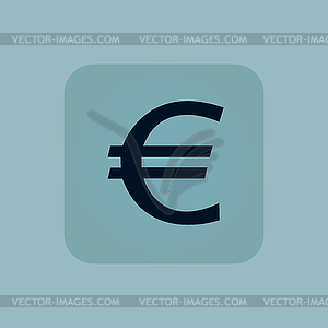 Pale blue euro icon - vector image