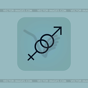 Pale blue gender signs icon - color vector clipart