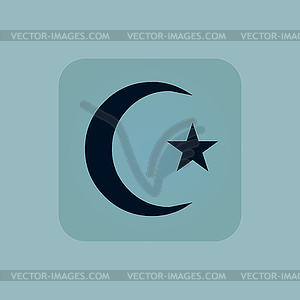 Pale blue Turkey symbol icon - vector clip art