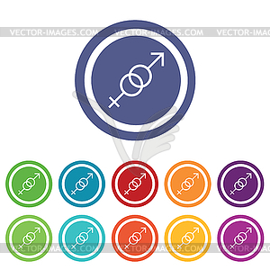 Gender symbols signs colored set - vector image