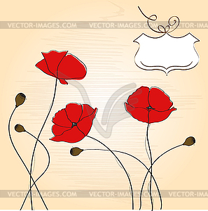 Poppies floral background - vector image