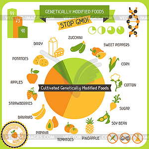 Information Poster Genetically Modified Foods - vector image