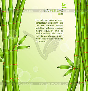 Background with green bamboo - vector image