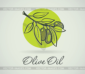 Hand-Drawing Olive - vector clip art