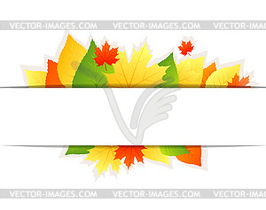 Autumn background with leaves - vector clipart