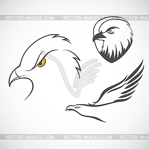 Eagles set - vector clipart