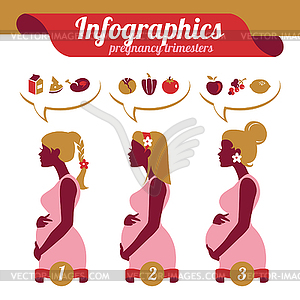 Infographics of pregnancy trimesters. Silhouettes o - vector clipart