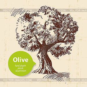 Vintage olive background - vector clip art