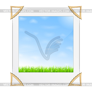 Green Grass and Blue Sky Photo - vector image