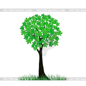 Green tree - vector clip art