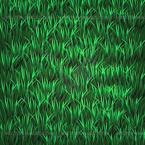 Green grass - vector image