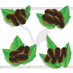 Set of coffee beans - vector image