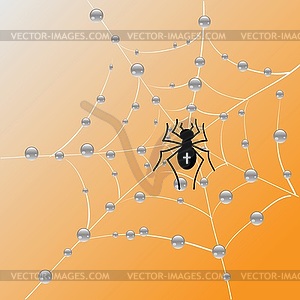 Паук и веб- - изображение в векторном формате