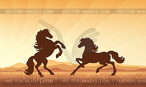 Horses in field on sunset background silhouette - vector image