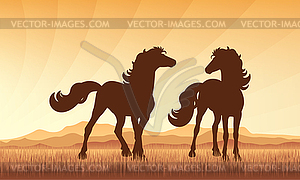 Horses in field on sunset background silhouette - vector image