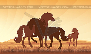 Horses in field on sunset background silhouette - vector clipart