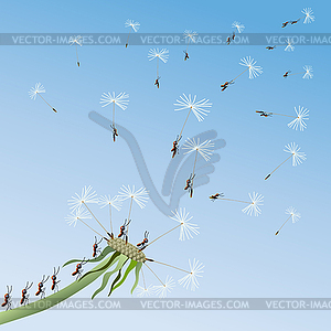 Dandelion on background blue sky - vector clipart / vector image