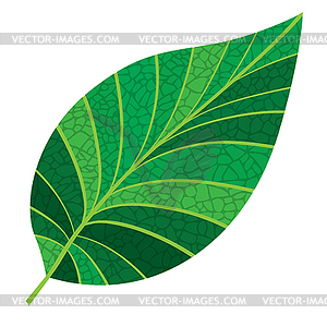 Seamless. leaves and branches - vector clipart
