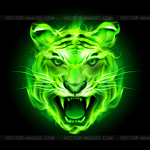 Green fire tiger - vector image