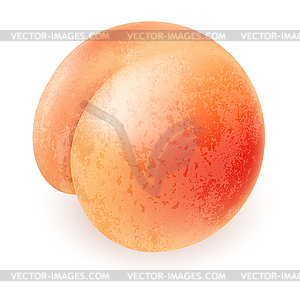 Appetizing ripe peach - vector EPS clipart