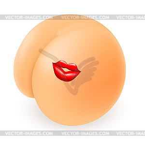 Buttocks - stock vector clipart