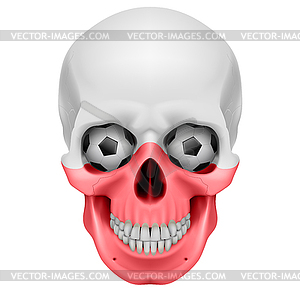 Human Skull - vector image