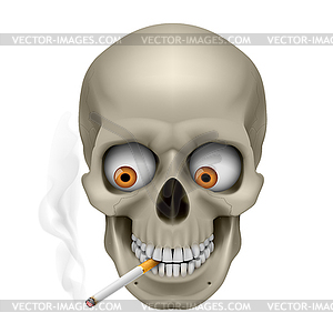 Human Skull - vector clipart