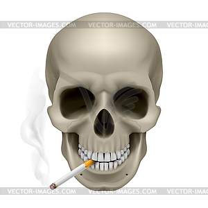 Human Skull - color vector clipart