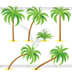 Кокосовые пальмы - клипарт в векторе / векторное изображение