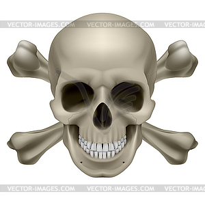 Realistic skull and bones - vector image