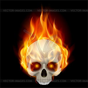 Burning skull - vector image