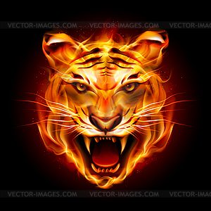 Глава тигра в пламени - векторизованный клипарт