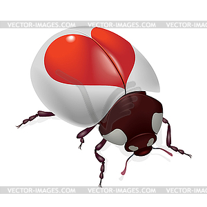 Ladybug with red hearts - vector clip art