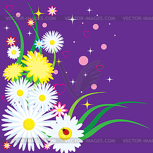 Beautiful chamomiles with ladybug - vector clipart