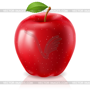 Спелое красное яблоко - векторный клипарт EPS