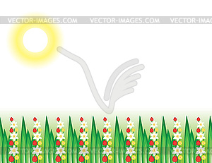Flowering grass in sun - vector clipart