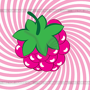 Appetizing ripe raspberries - vector image