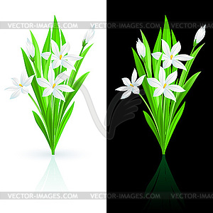 Spring flowers - vector image
