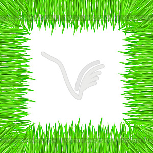 Grass frame - vector image