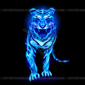 Blue fire tiger - royalty-free vector image