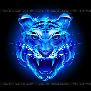 Head of fire tiger - vector clip art