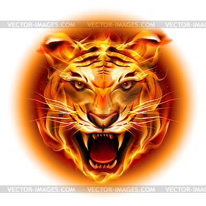Head of fire tiger - vector clip art