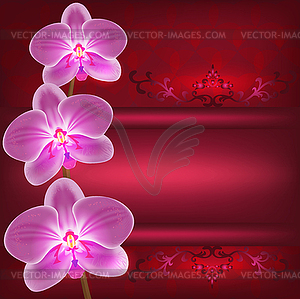 Greeting or invitation card with orchid flower - vector image