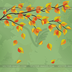 Vintage autumn background with tree branch - vector clipart