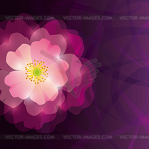 Abstract greeting or invitation card with purple - vector clip art